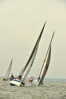 2016 Southern Bay Race Week A_0268