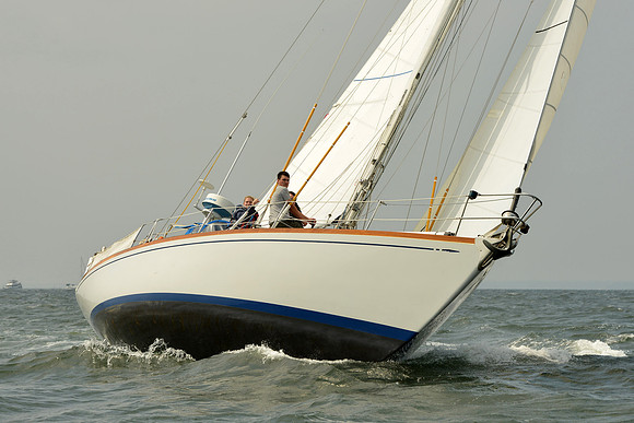 2015 Vineyard Race A 304