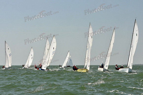 2012 Thistle MidWinters B 1144