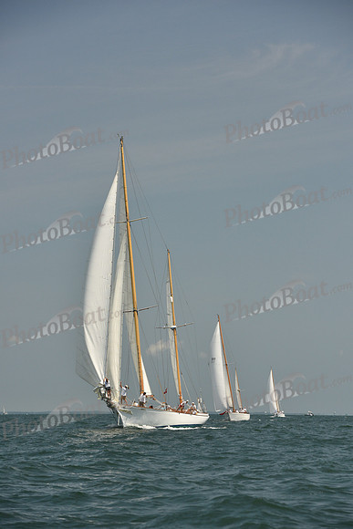 2018 Vineyard Cup A_1239