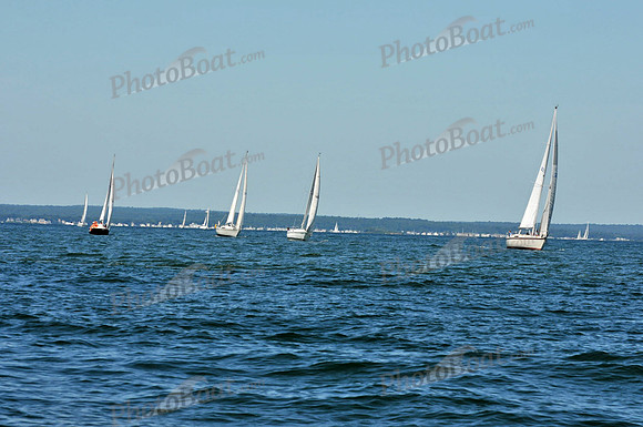2010 Leukemia Cup B 369