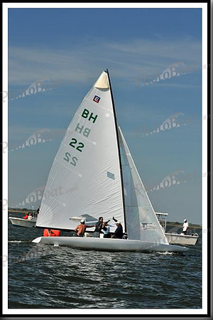 proof_2010_EScows_E 1415