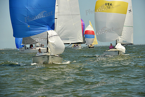 2015 Southern Bay Race Week A 1421