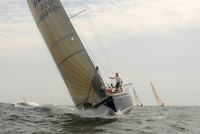 Swan American Friday 433