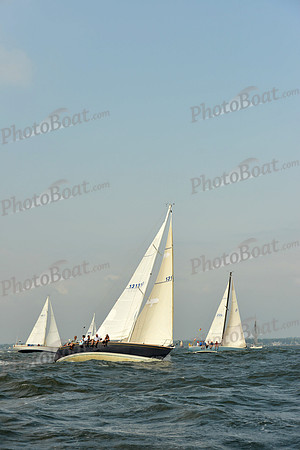 2015 Vineyard Race A 197