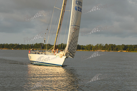 2011 Gov Cup C 175