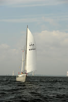 2013 Vineyard Race A 417
