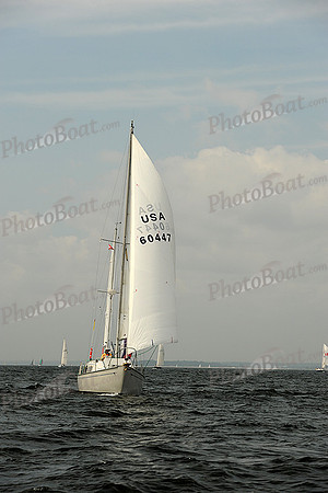 2013 Vineyard Race A 417