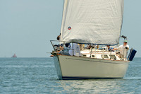 2015 Southern Bay Race Week F 810