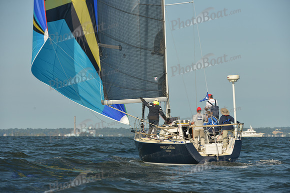 2015 Vineyard Race C 020