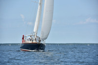 2019 Around Marthas Vineyard A_1404