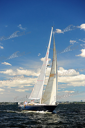 2014 Vineyard Race A 847