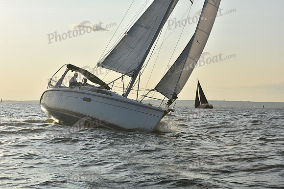 2019 ALIR_2640