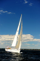 2014 Vineyard Race A 600