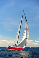 2014 Vineyard Race A 1862