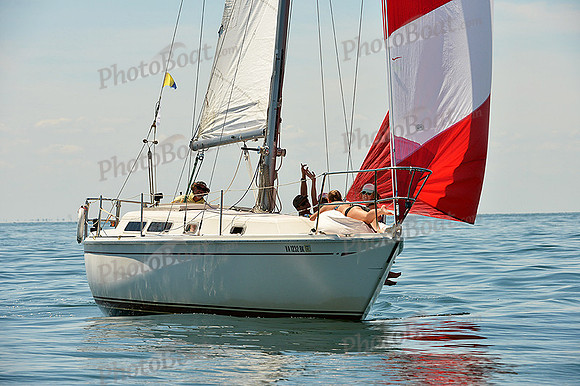 2015 Cape Charles Cup A 537