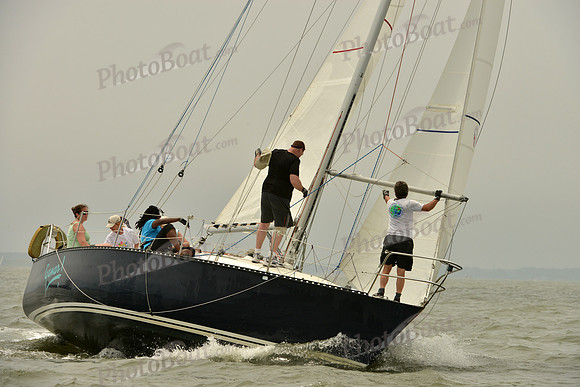 2016 Southern Bay Race Week A_1015
