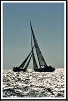 proof_2010_Vineyard_Race_2706