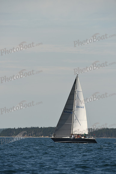 2016 Chester Race Week A_0466