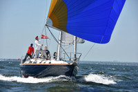 2019 Vineyard Race A_0986