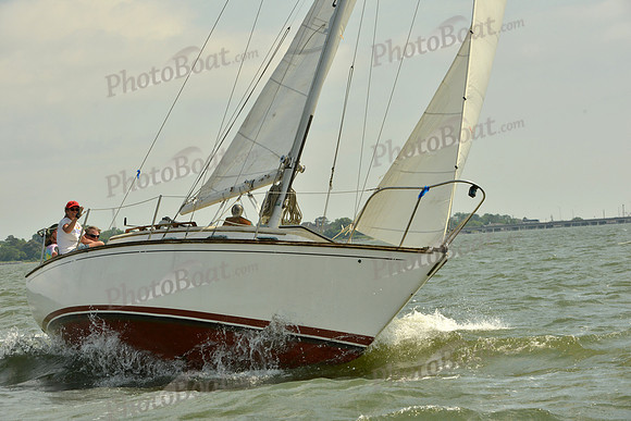 2016 Southern Bay Race Week G_0296