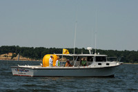 2011 Screwpile A 619