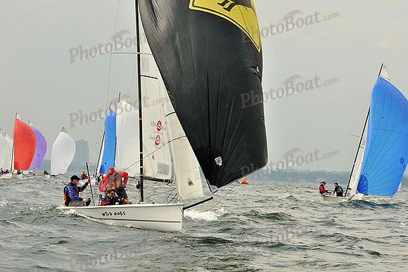 2012 HPDO A 1739