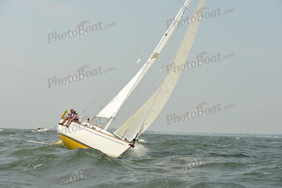 2015 Vineyard Race A 365