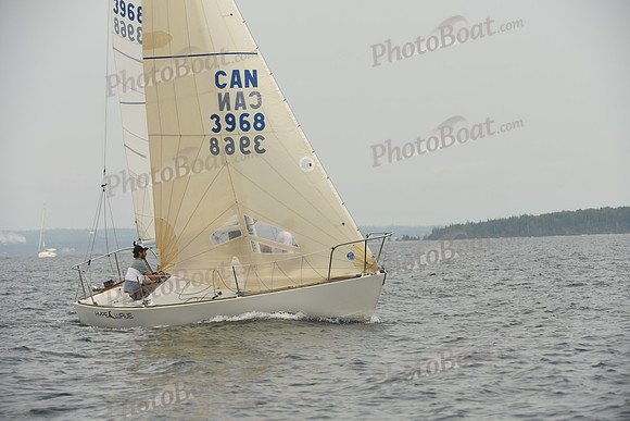 2016 Chester Race Week D_0282