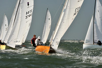 2012 Thistle Midwinters B 549