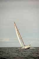 2014 Vineyard Race B 619