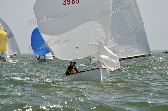 2012 Thistle Midwinters B 1256