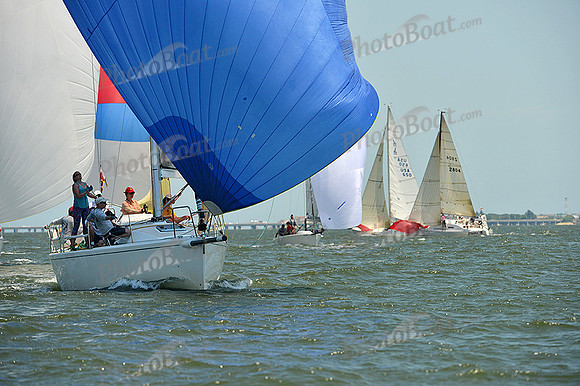 2015 Southern Bay Race Week A 931