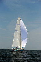 2013 Vineyard Race A 1499