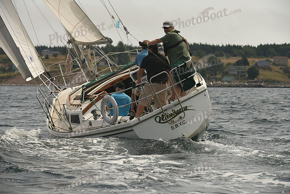 2016 Chester Race Week C_0765