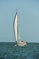 2015 Southern Bay Race Week C 1595