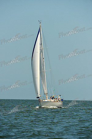 2015 Southern Bay Race Week C 1595