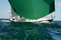 2012 Newport Bermuda 2500