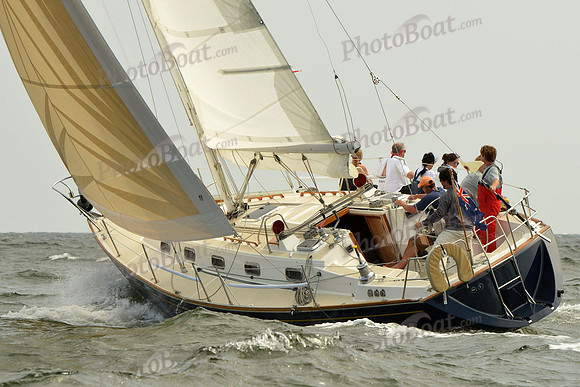 2015 Vineyard Race A 244