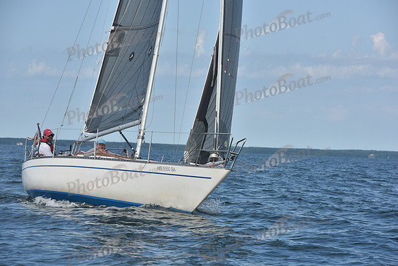 2019 Around Marthas Vineyard A_1340
