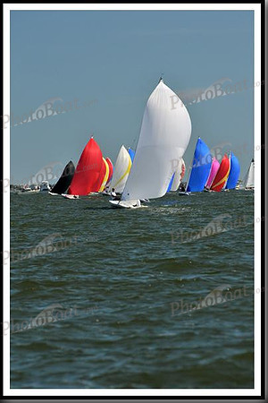 proof_2010_EScows_E 1065