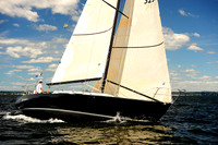 2014 Vineyard Race A 871