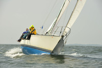 2015 Vineyard Race A 579