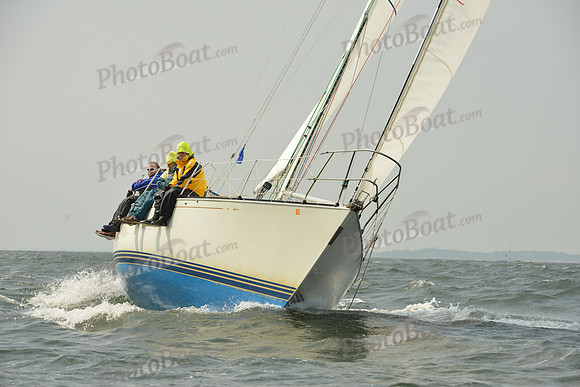 2015 Vineyard Race A 579