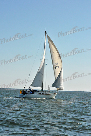 2010 Leukemia Cup 164
