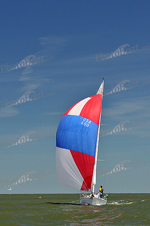 2014 Southern Bay Race Week D 1183