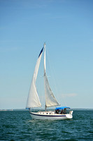 2015 Cape Charles Cup A 1349