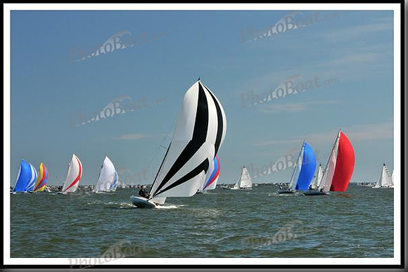 proof_2010_EScows_E 917