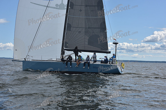2021 Vineyard Race A 1966