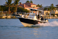 2019 Feb 10 Tampa Bay B_1516